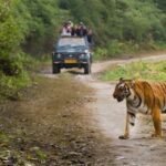 कॉर्बेट के ढिकाला जोन में 21 दिसंबर तक नाइट स्टे की बुकिंग फुल, 7 नवंबर को खुलेगी अगली बुकिंग